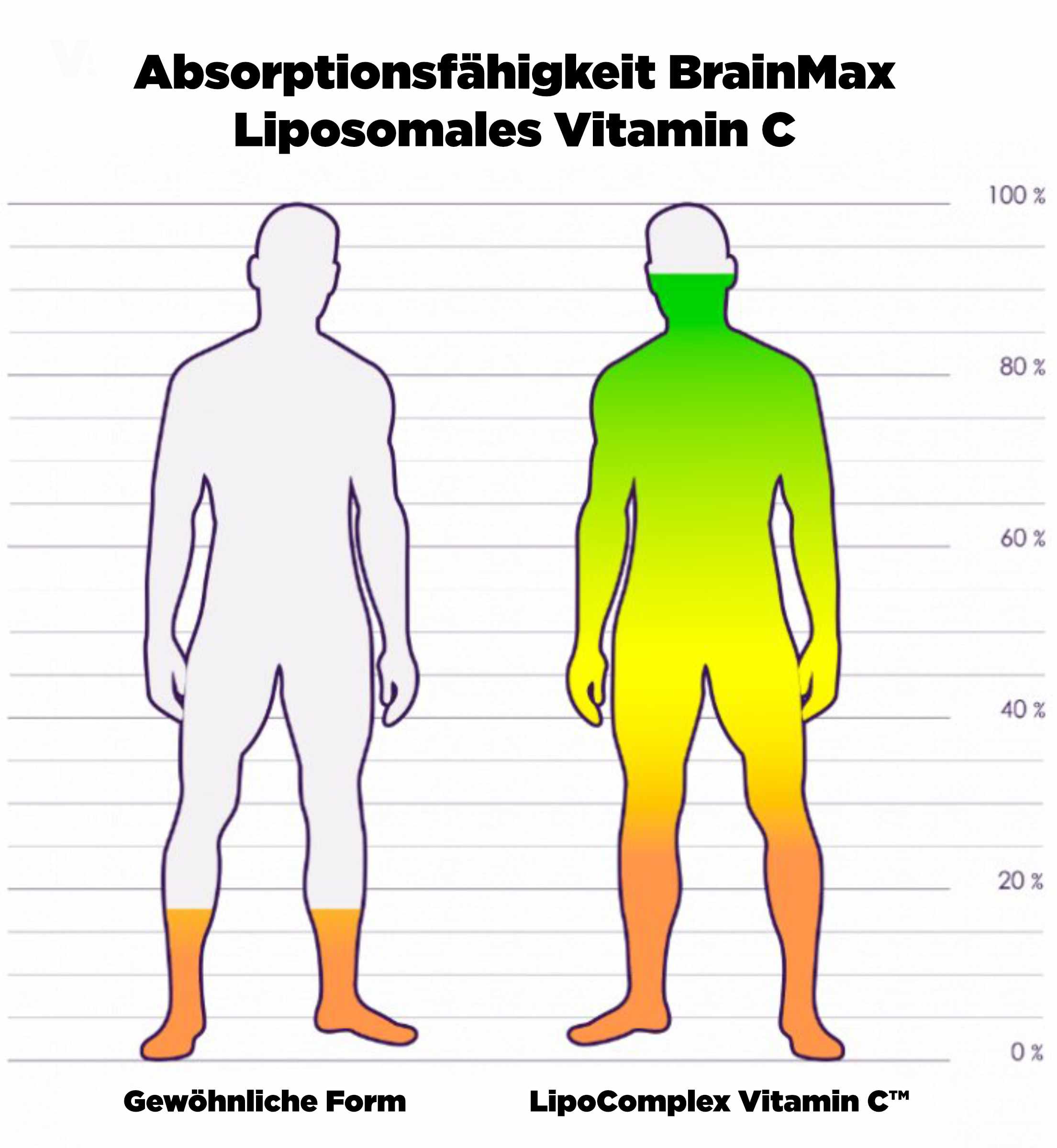 porovnani bezny vs liposomal_de (1)